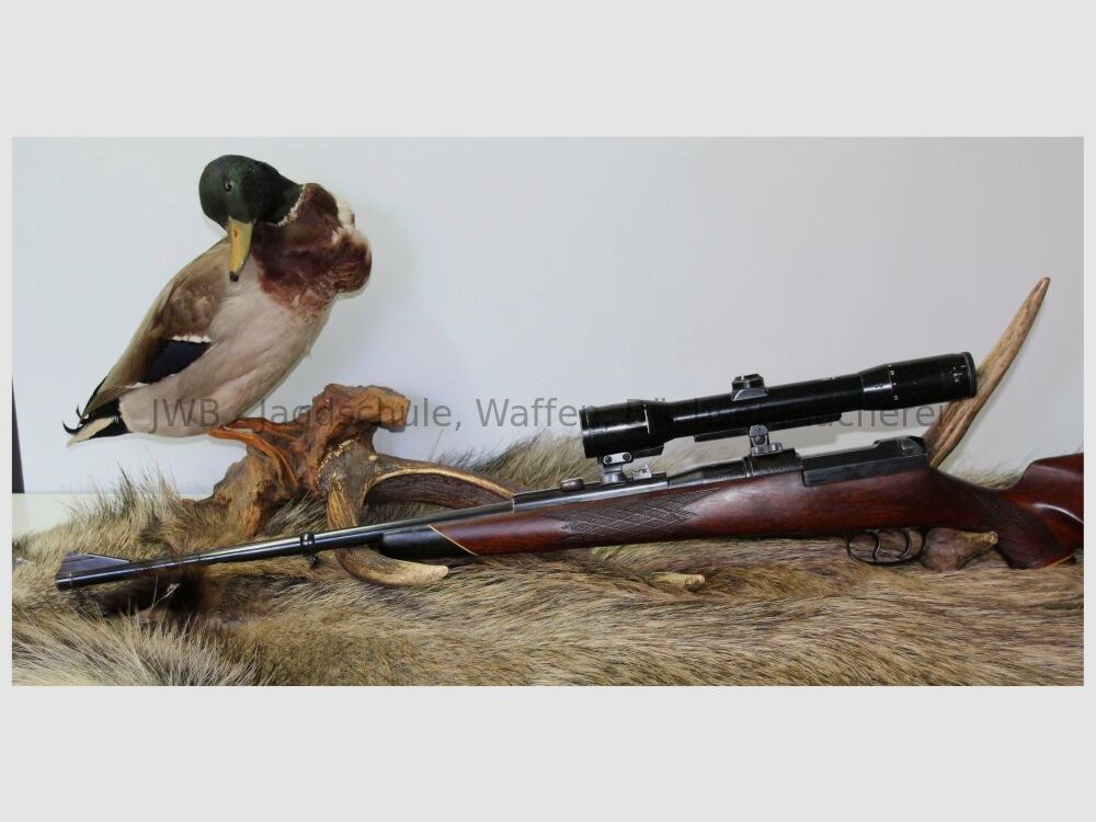 Mauser 66 con mira telescópica variable 7x64