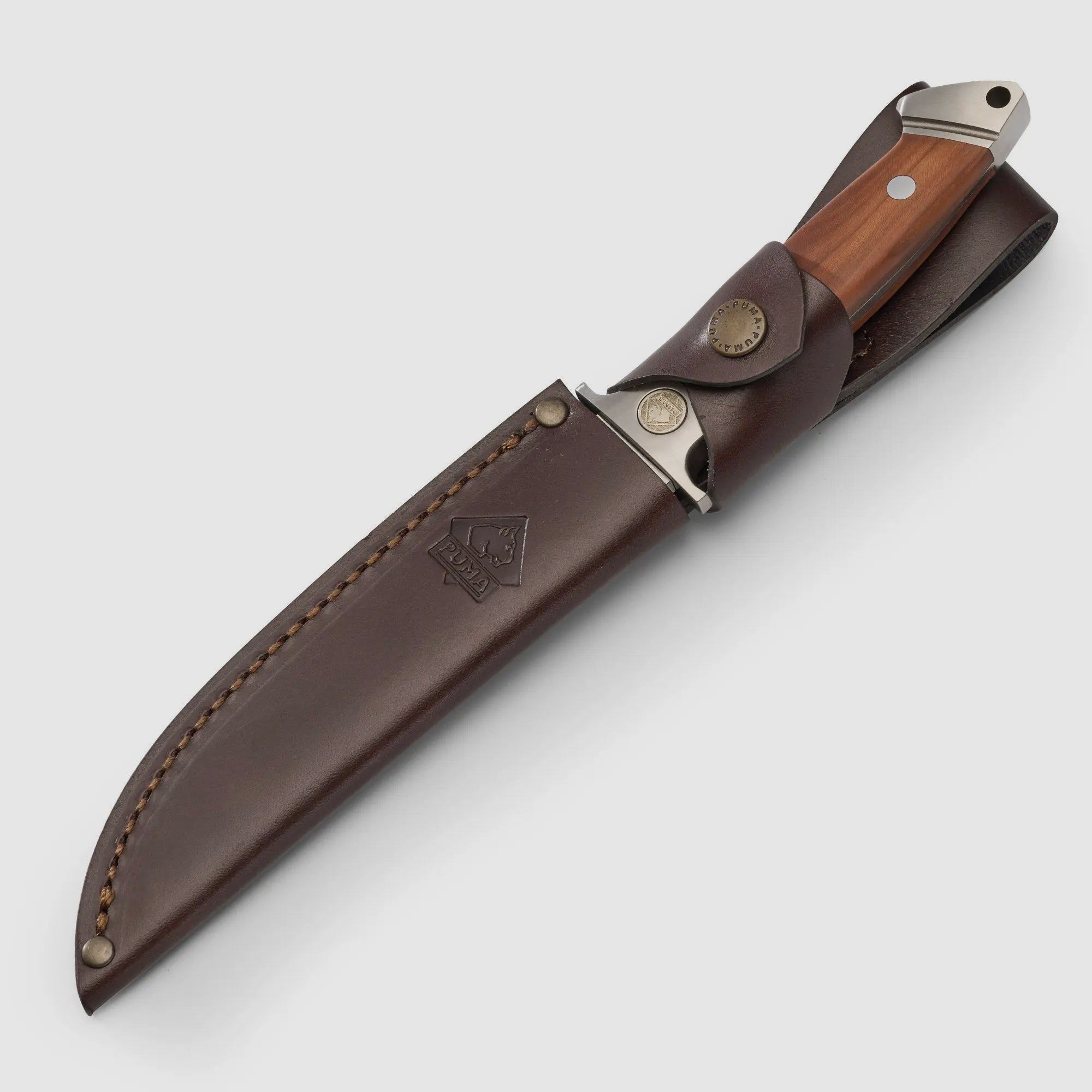 PUMA cougar, wood