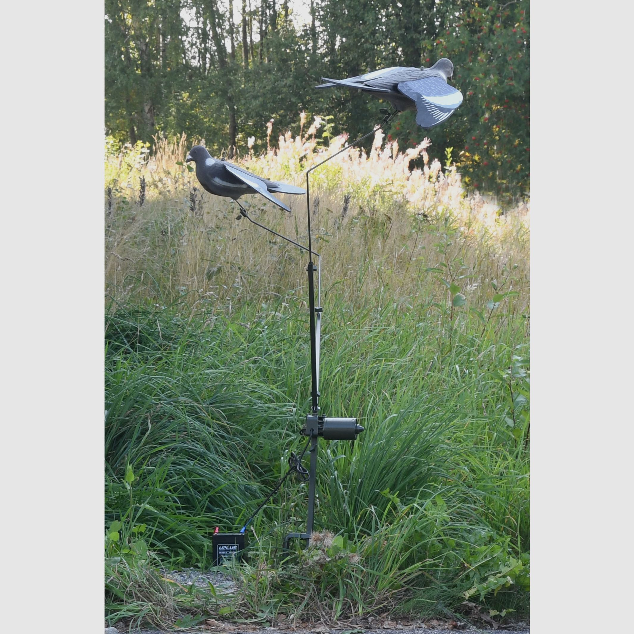 5etta Pigeon Carousel with Remote Control.