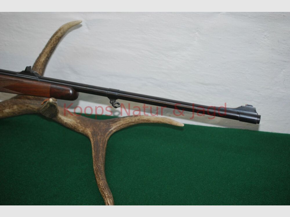 Klaus Koops 98 Système DWM