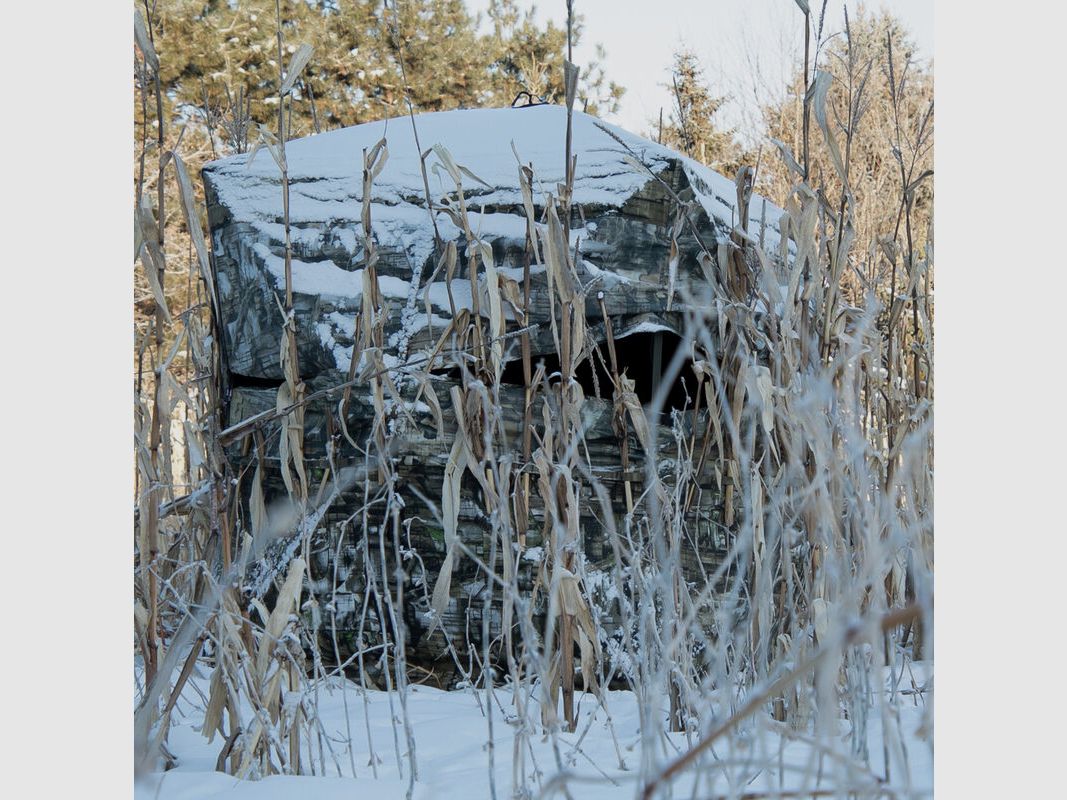 Double Bull SurroundView Double Wide Truth Camo, Box, Bild 16 von 18
