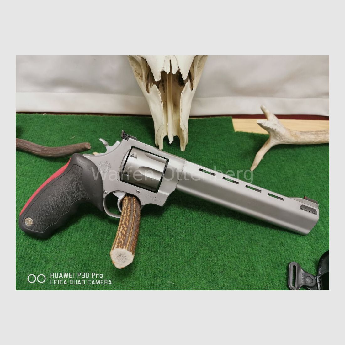 Taurus Raging Bull