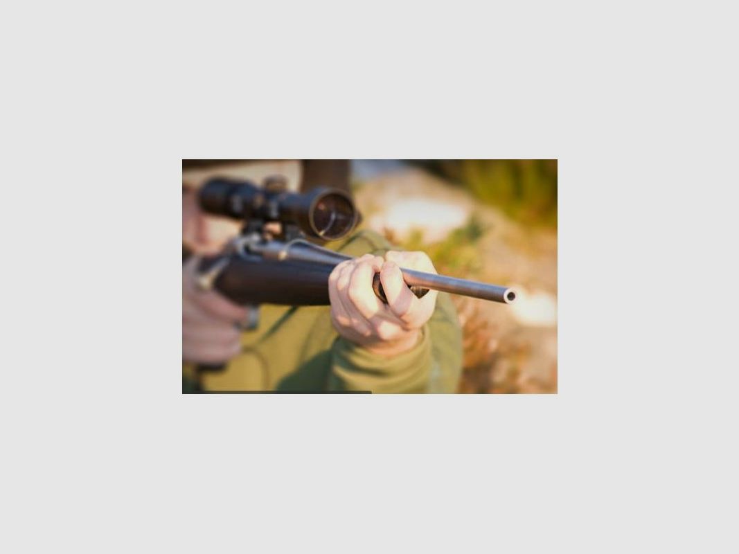 Stock for KKC rifle, image 5 of 10
