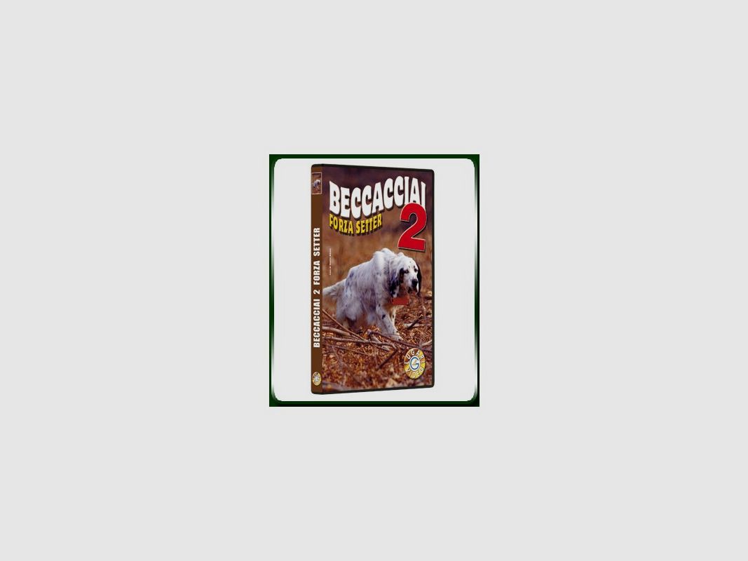 BECCACCIAI 2 FORZA SETTER