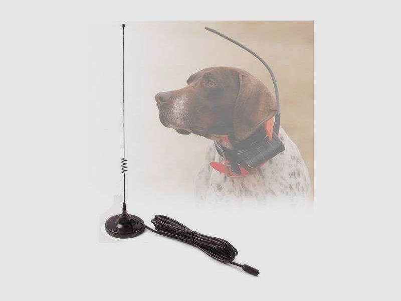 Magnetic Car Antenna, image 1 of 9