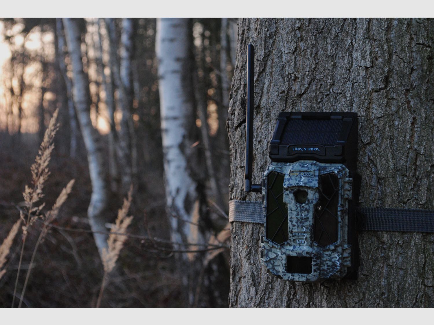 SPYPOINT Trail Camera Link-S Dark