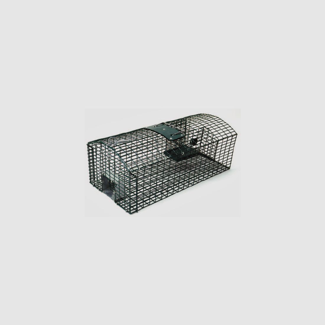 Automatic rat trap