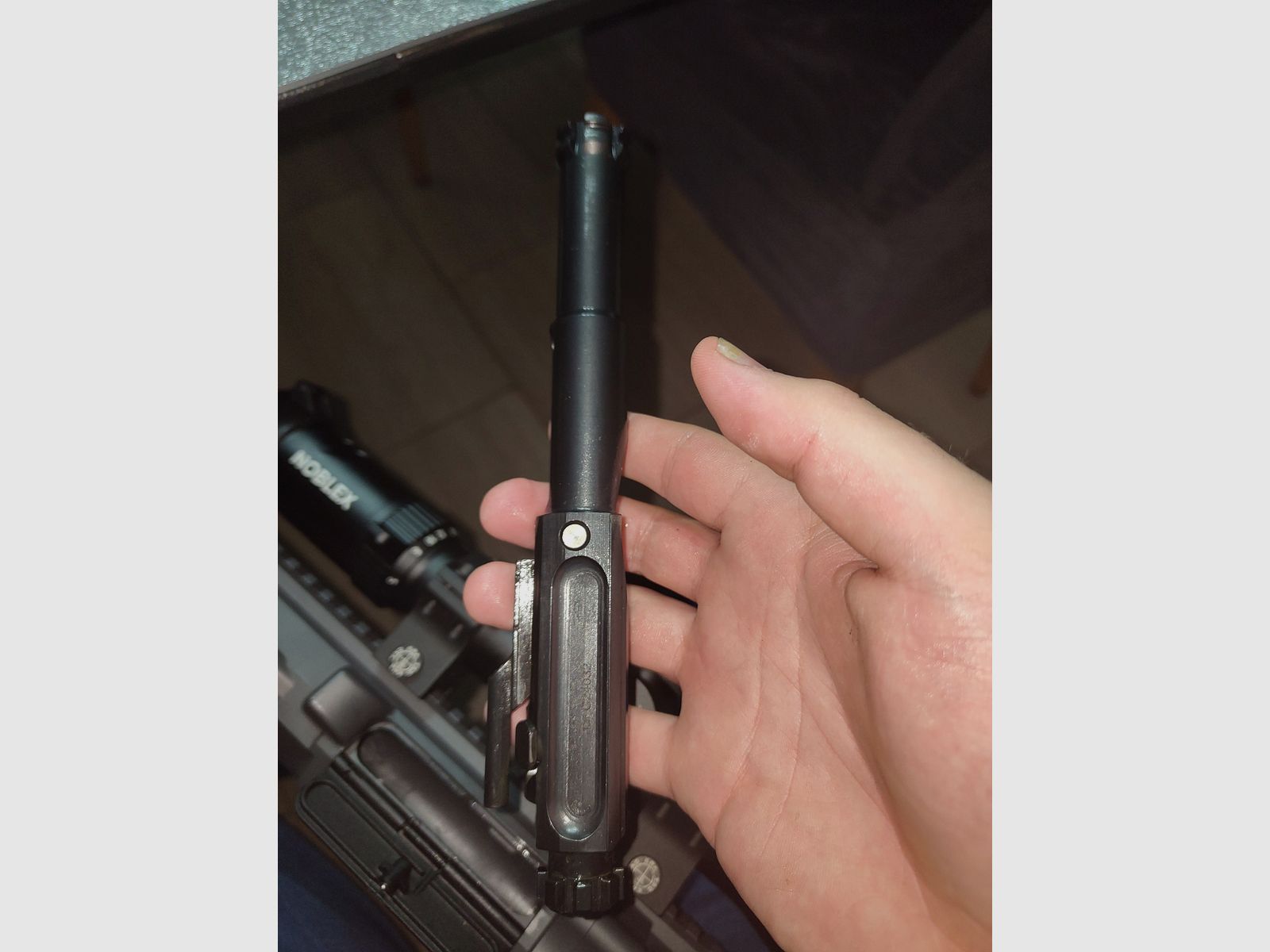 DAR 10, Präzisionshalbautomat in .308Win