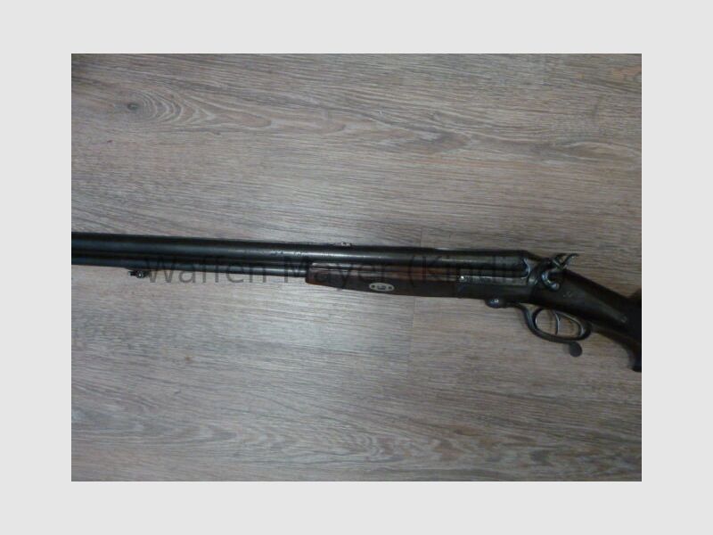 escopeta de perro desconocida