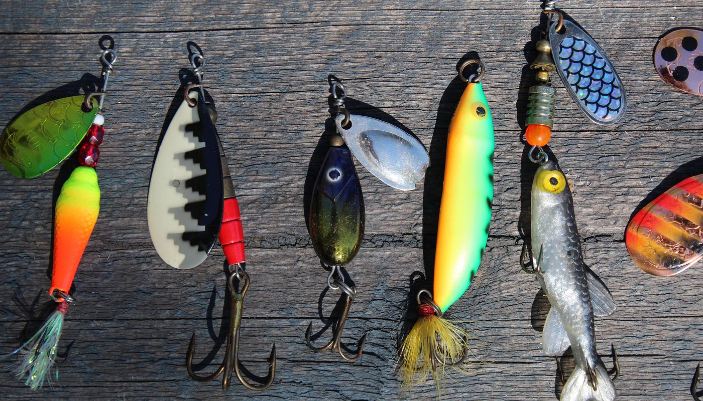 Correct Baiting: How to Lure Fish to Your Bait