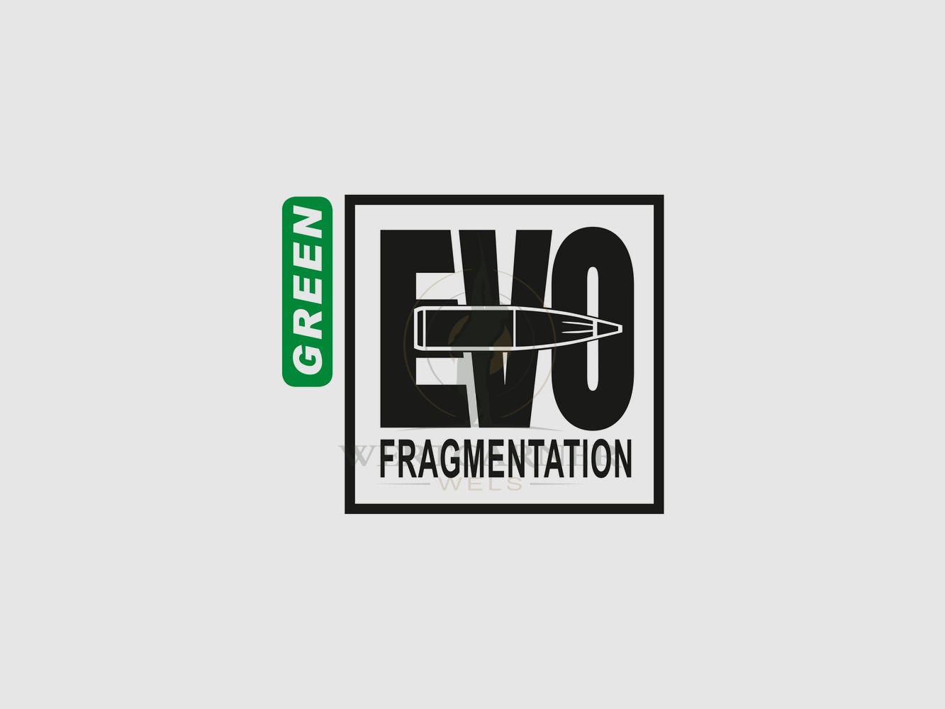 RWS 6,5 crdm. EVO Green 6g/93gr, zdjęcie 3 z 3