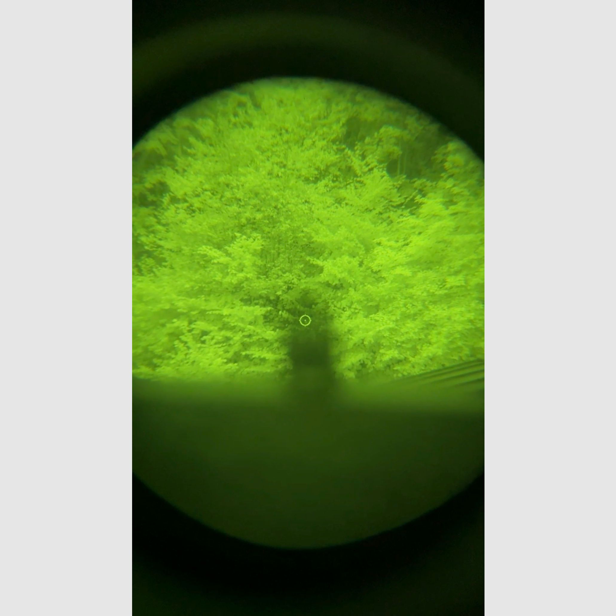 HOLOSUN 510C ROT 