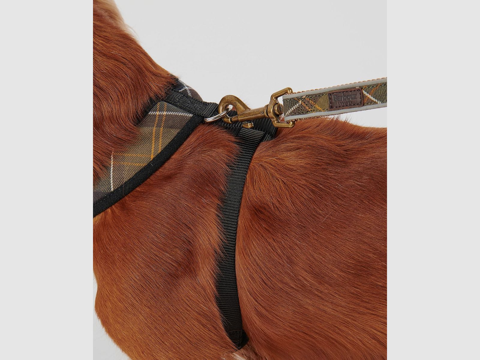 Barbour Hunde Geschirr