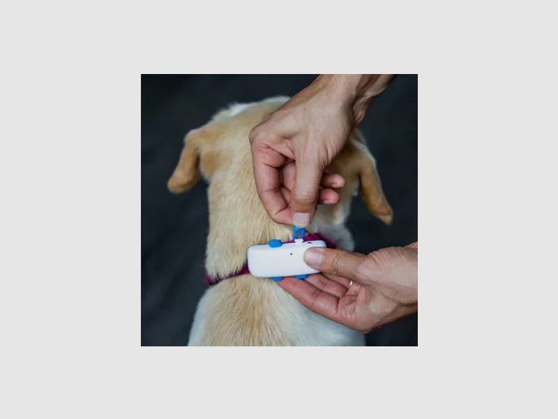 Tractive Tractive GPS Dog 4 Ortungsgerät
