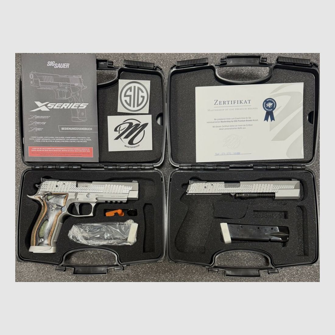 SIG Sauer / GSG P226 X-Five with WS M-Six