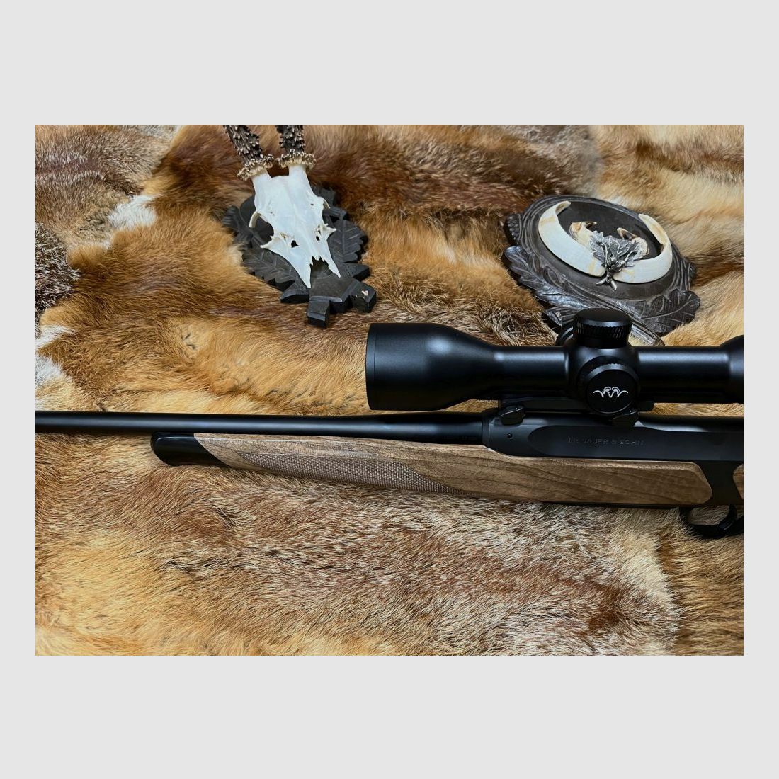 Sauer & Sohn Mod. 505
