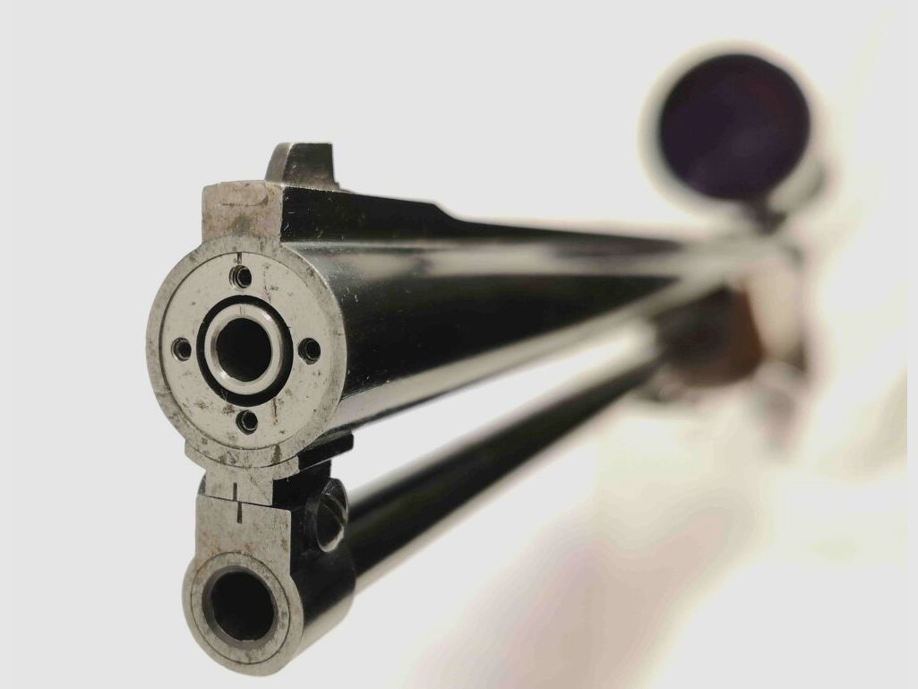 Rottweil 400 mit Einstecklauf .222 Rem.