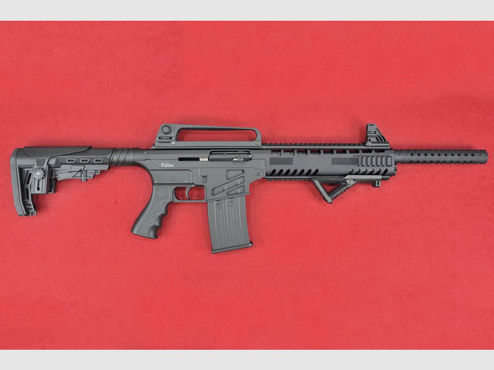 Pallas PX-2 20/76 fusil à répétition automatique