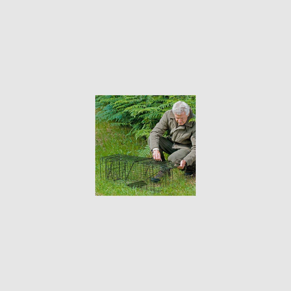 il Lago Passion Kastenfalle (faltbar) |
