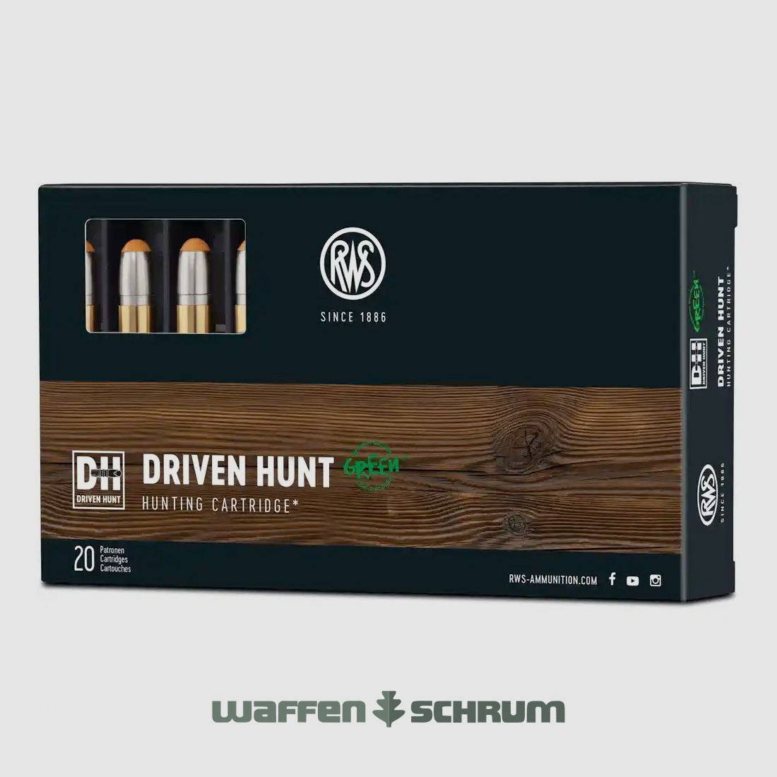 RWS Driven Hunt 10,7g - 165gr .308Win