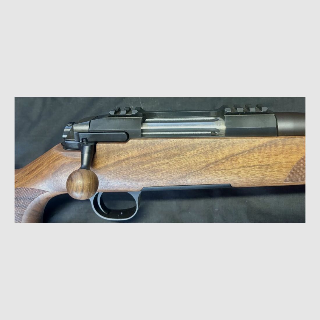 STEEL ACTION SteelActionHS .308Win