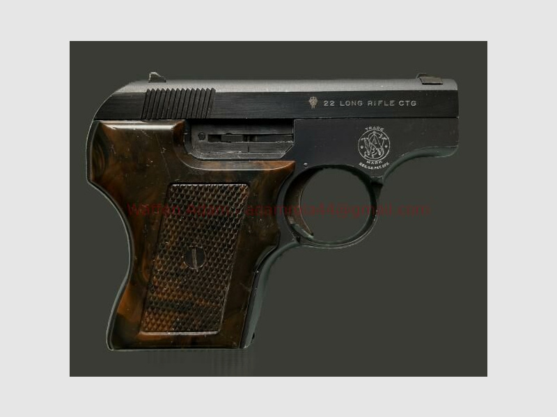 Smith & Wesson Mod. 61, Escort, Pocket