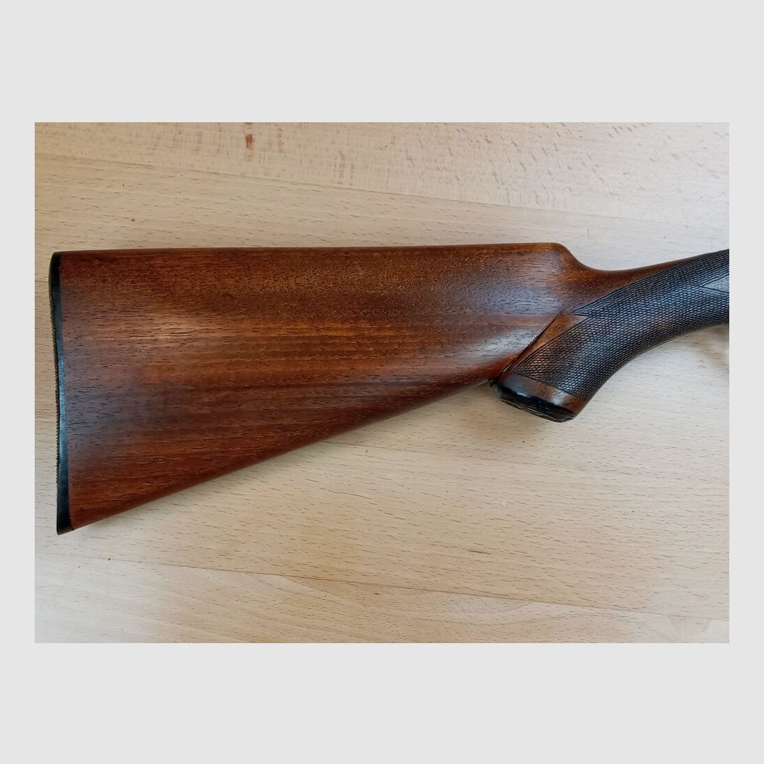 Animo Eibar Double shotgun