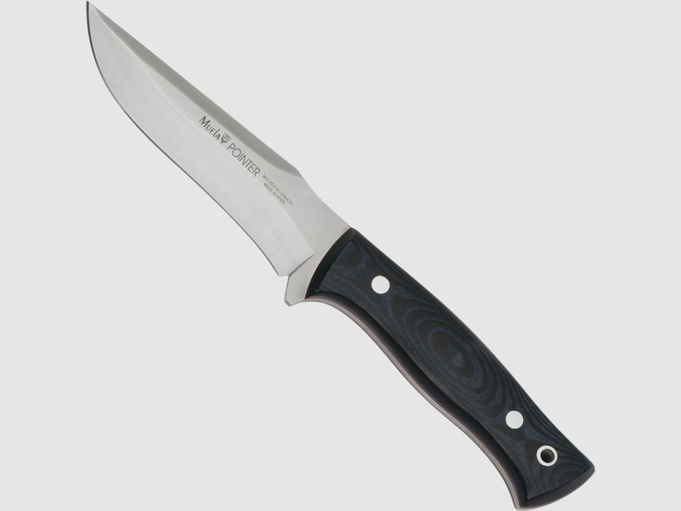 Muela Bowie HH