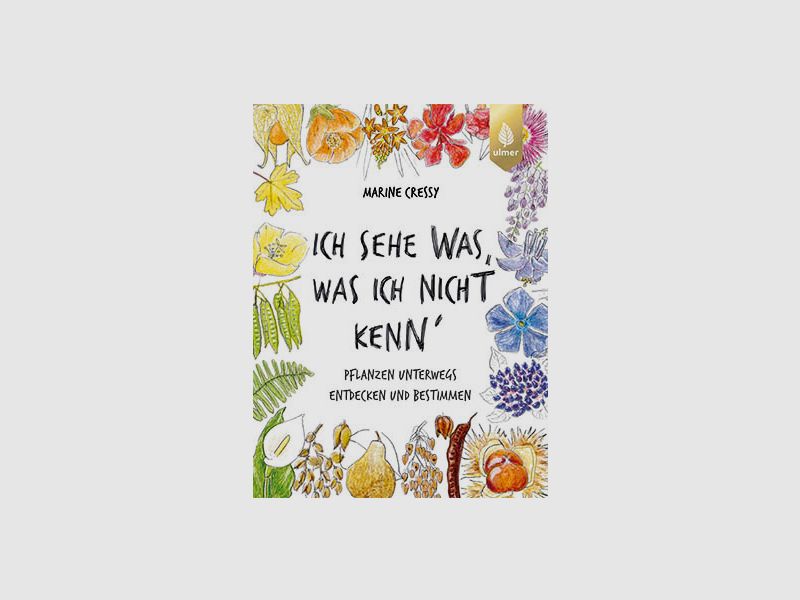 Ich sehe was, was ich nicht kenn