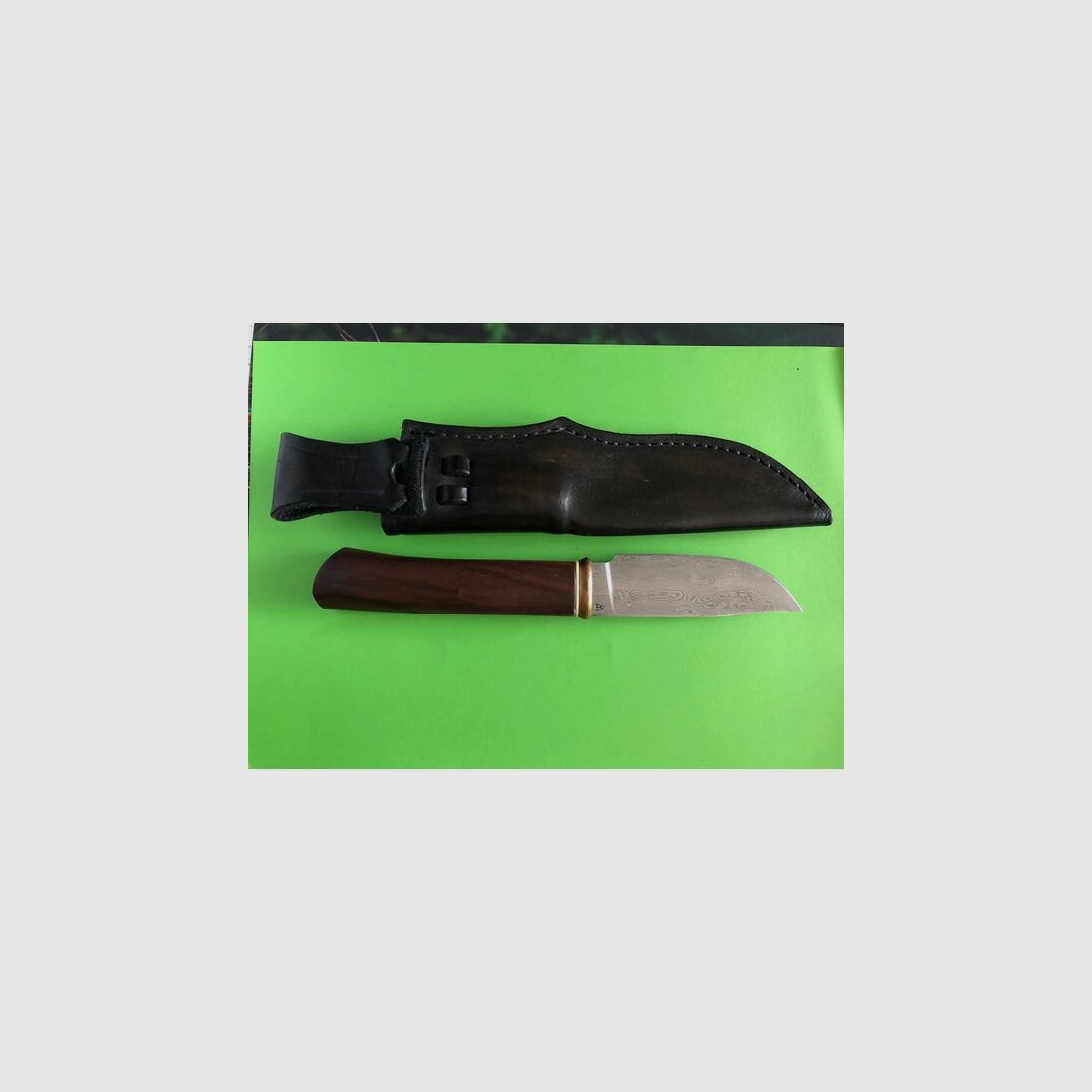 Rhino Skinner 3 von Stefan Kühne
