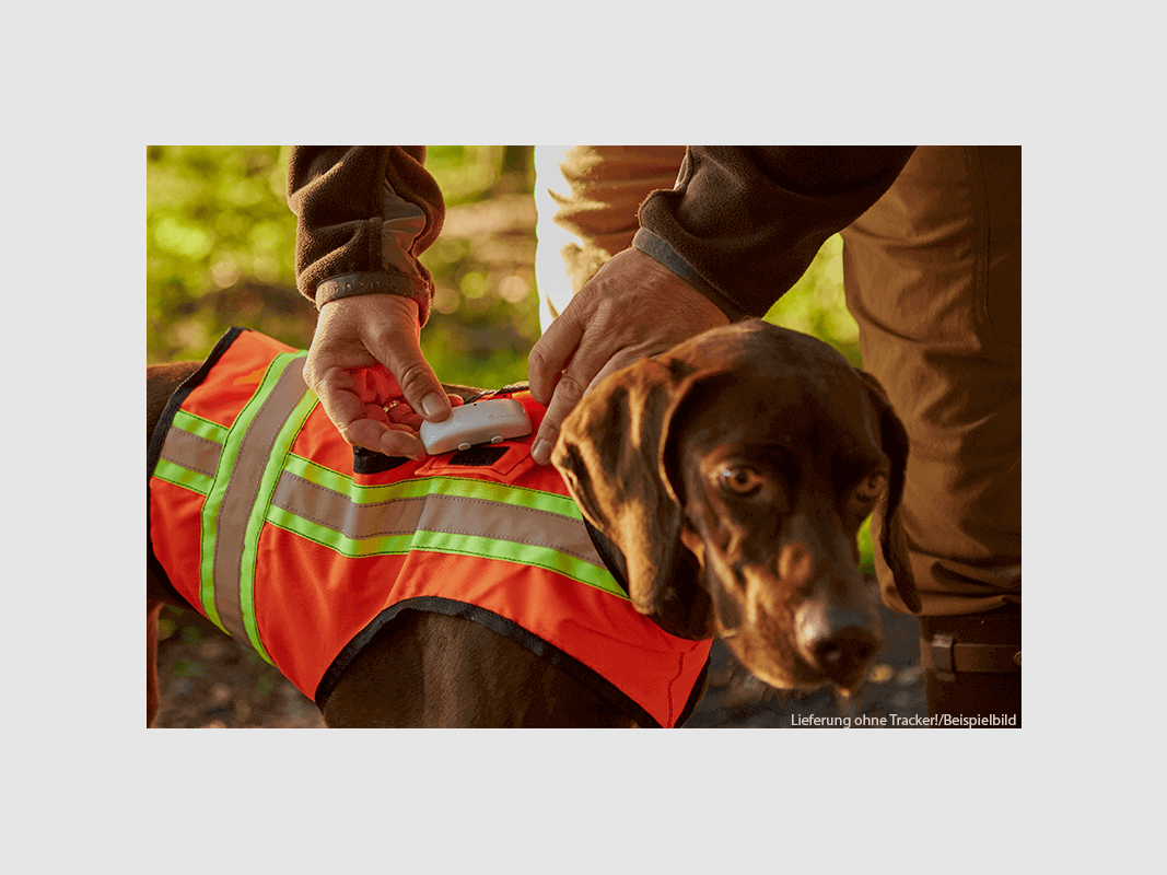 Gilet de signalisation pour chien avec poche pour tracker