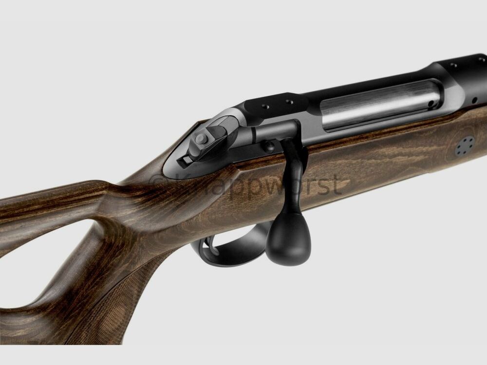 Sauer & Sohn Sauer 101 GTI Silence