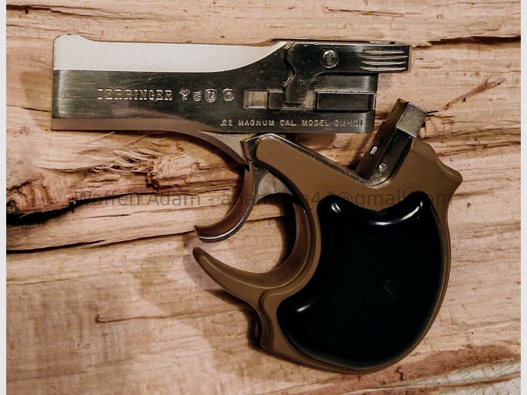 High Standard - Derringer DM-101 de doble cañón, imagen 1 de 5