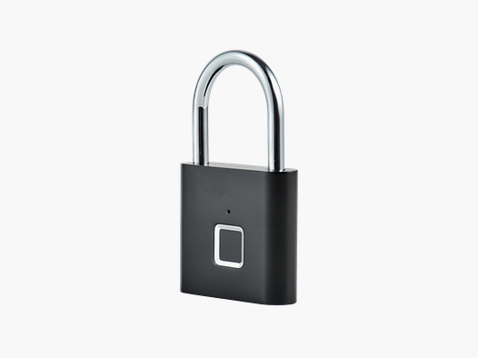 FRITZMANN SMART PADLOCK