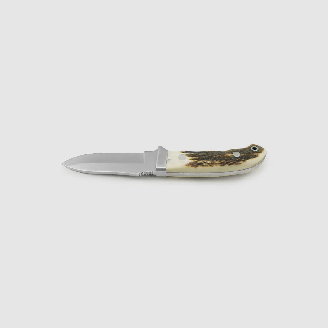 PUMA IP ebro, stag