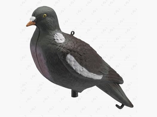 Caller PALOMBE full shell