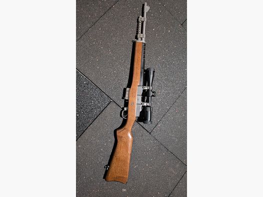 Ruger Mini 14 