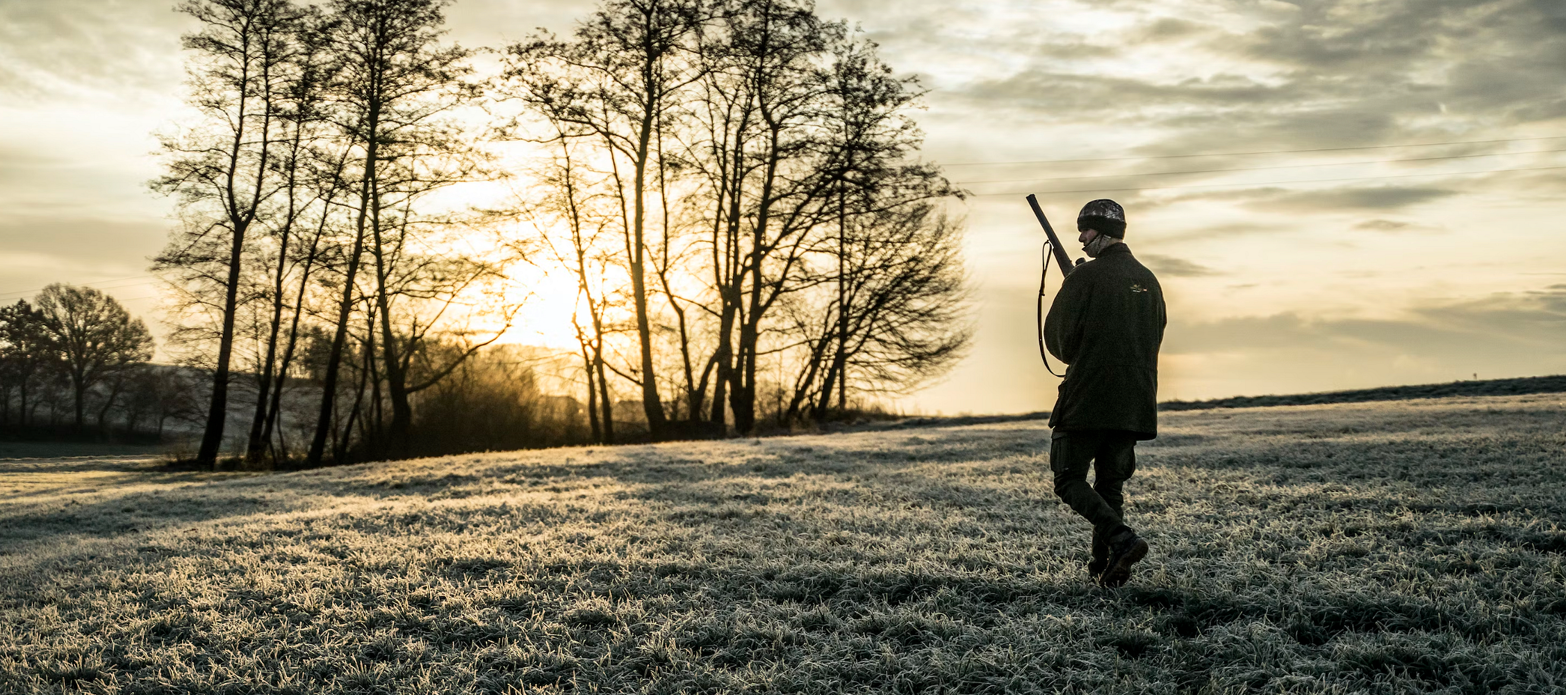 Amendment of the Brandenburg Hunting Law