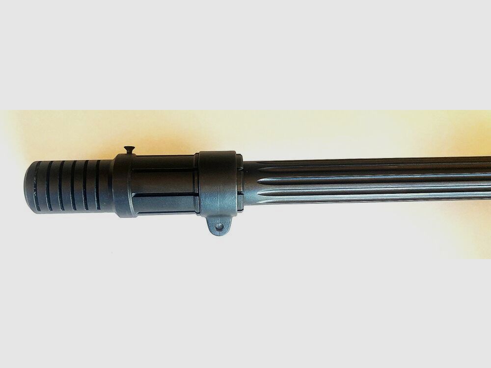 Blaser R93 Tactical (CISM)