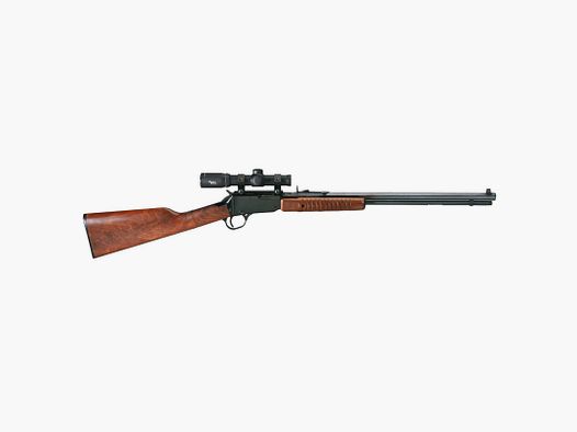 CARABINE A POMPE HENRY CAL,22LR