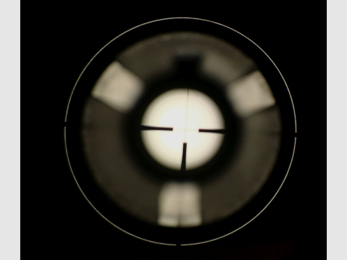 Blaser K95