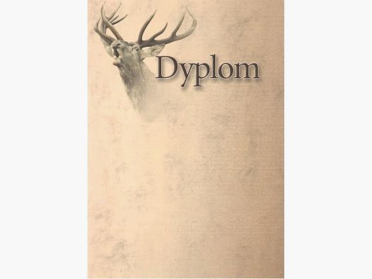 DYPLOM - HIRSCH