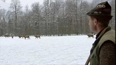 Die Jäger vom Königssee 5/8