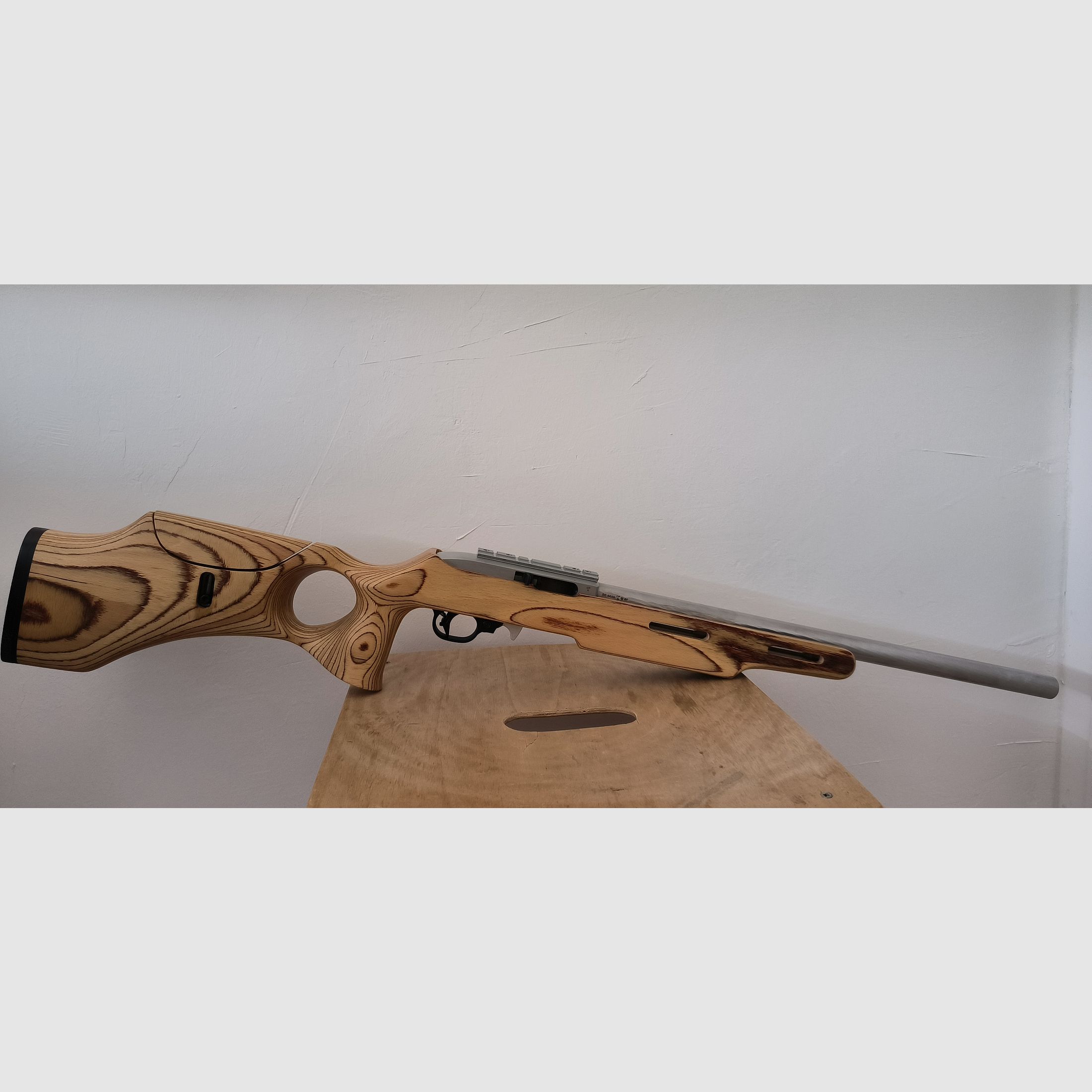 Ruger 10/22