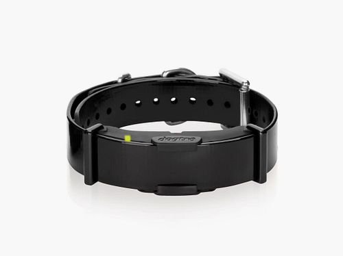 Dogtra Zusatzhalsband für ARC 800