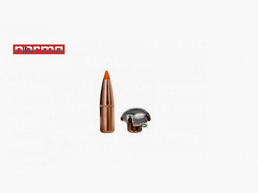 NORMA Geschosse TIPSTRIKE Kal.270 - 140gr. Packung 100 Stk -20669241