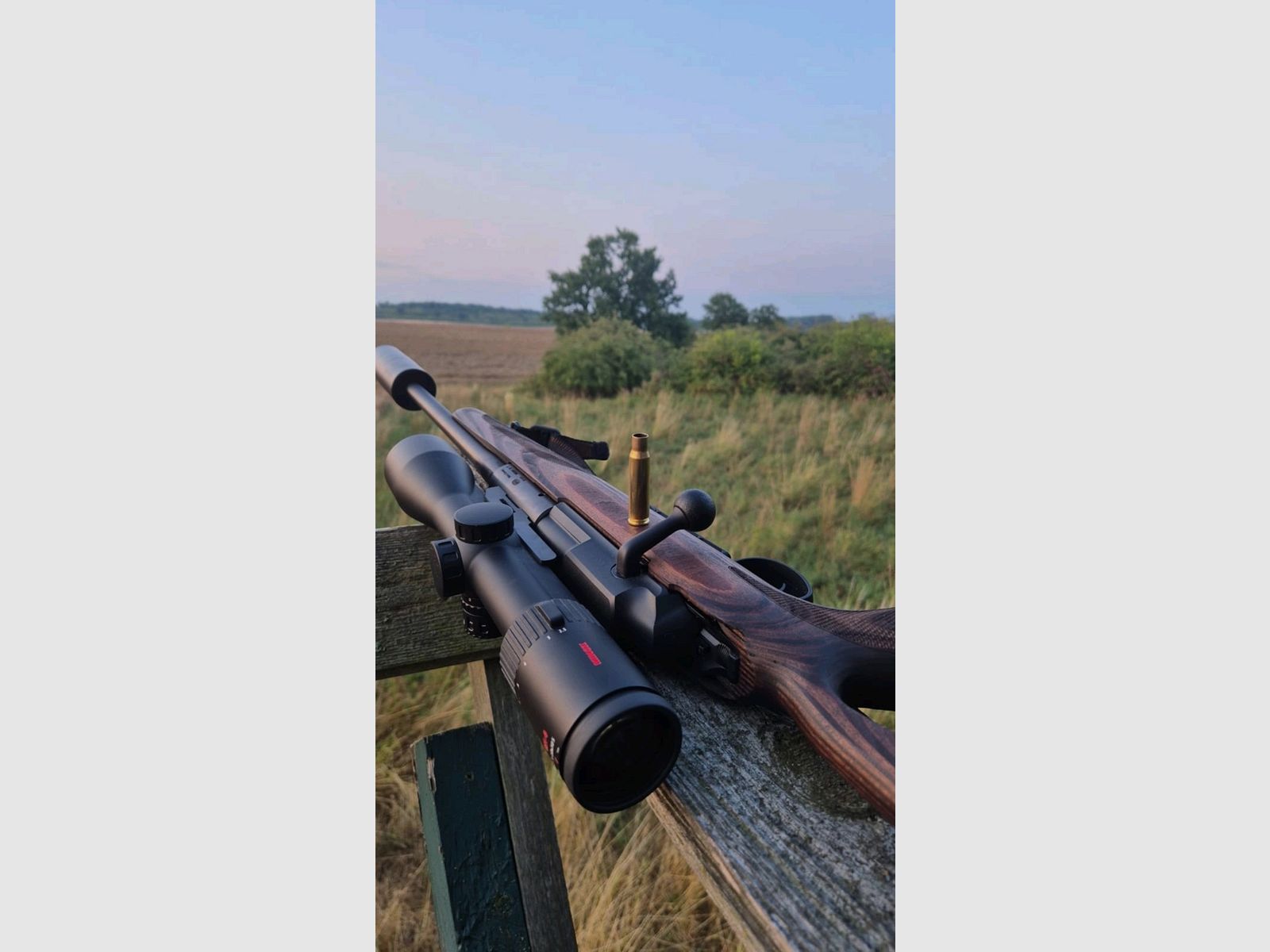 Mauser 25 Max