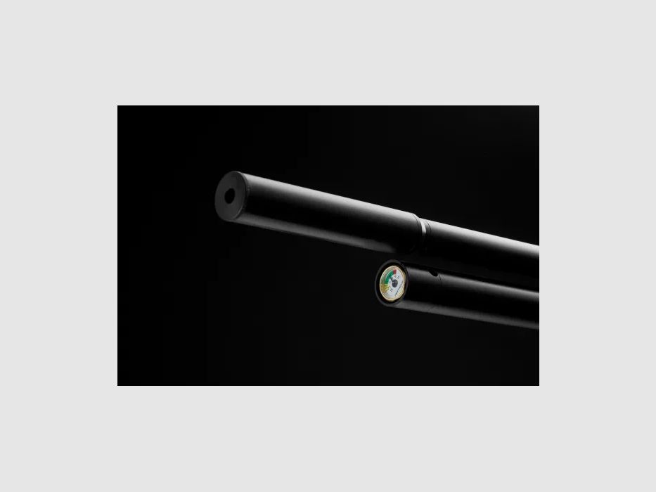 PCP-Gewehr M25 cal.5,5MM 19,9J SNOWPEAK, Bild 9 von 10