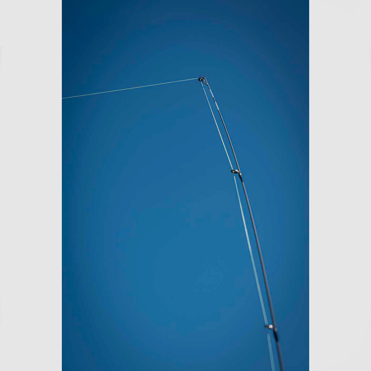 FOX RAGE – WARRIOR DROPSHOT 4-17g | 220cm | 2pcs, image 11 of 13