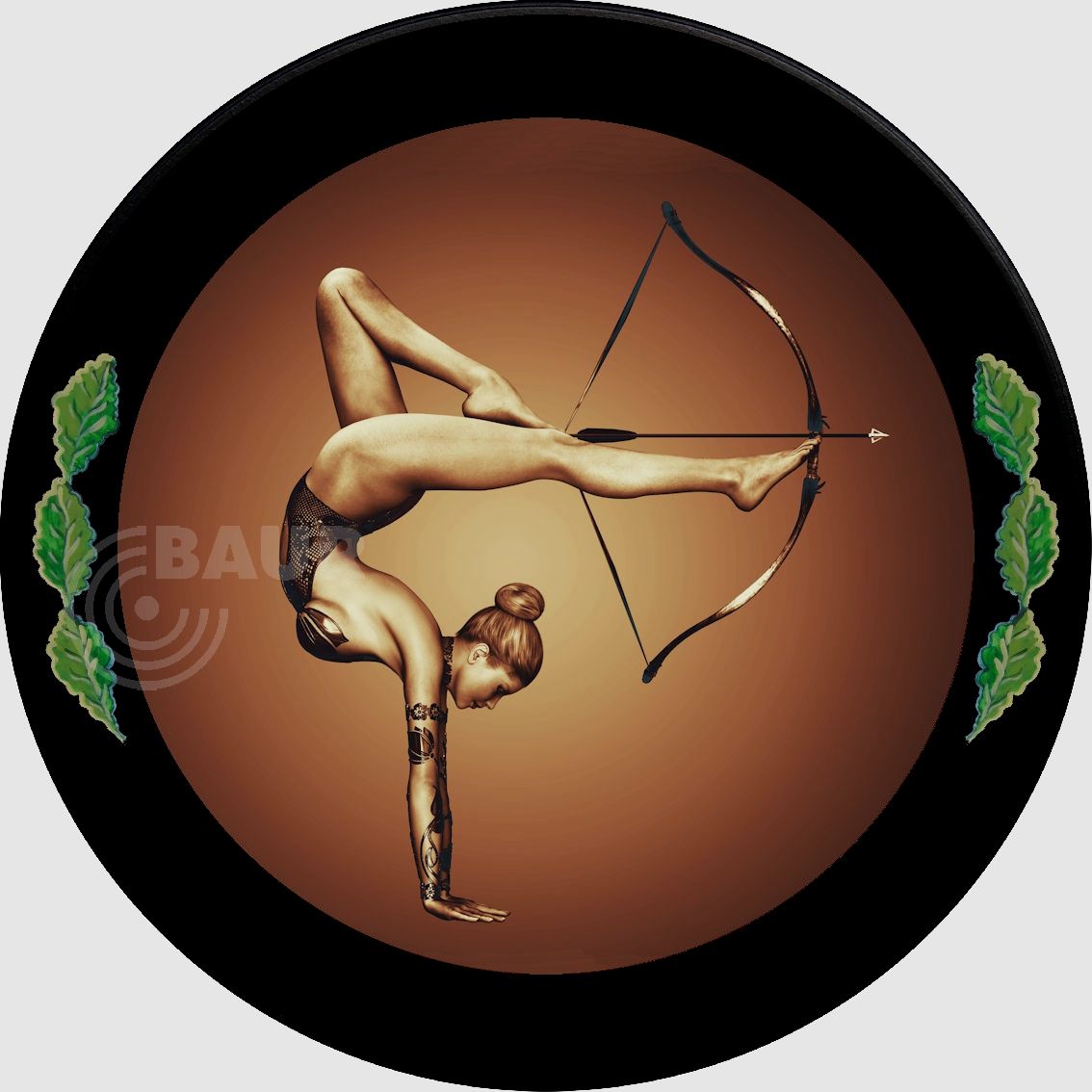 Cible ECO-LINE Motif 250, image 5 sur 6